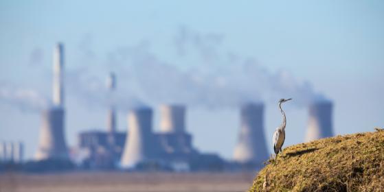 Héron devant centrale électrique, état des risques et pollutions