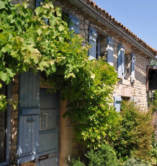 Maison en pierre aux volets bleus recouverte d'une vigne grimpante